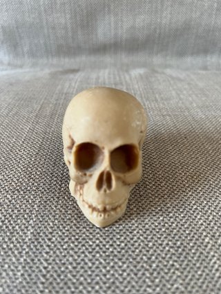 Set 3 Calaveras Decorativas