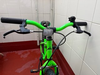 Bicicleta infantil verde PRESTIGE