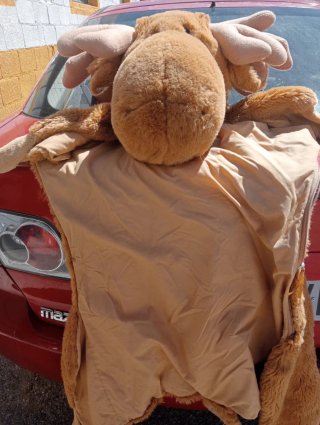 Disfraz Reno Peluche Talla Única