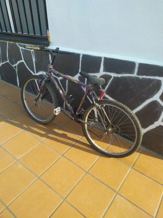 Bicicleta de montaña morada