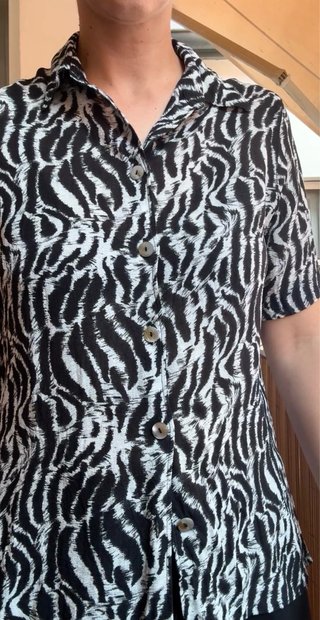 Camisa Vintage Cebra