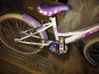 Bicicleta infantil