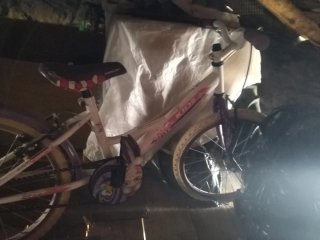 Bicicleta infantil