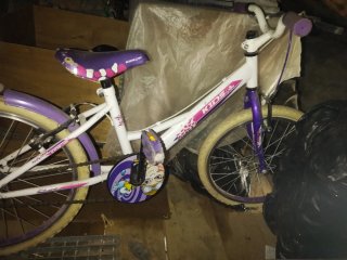 Bicicleta infantil