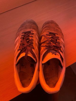 Zapatillas Adidas Gazelle grises y blancas