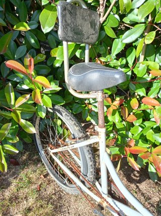 Bicicleta tándem blanca Leiva Ventaven persona