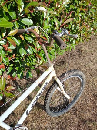Bicicleta tándem blanca Leiva Ventaven persona