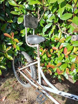 Bicicleta tándem blanca Leiva Ventaven persona