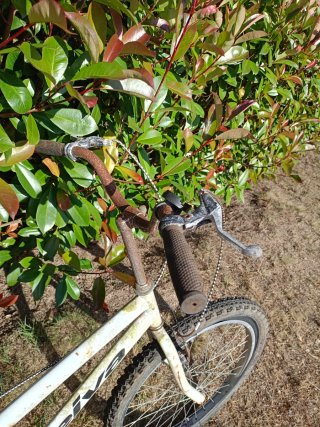 Bicicleta tándem blanca Leiva Ventaven persona