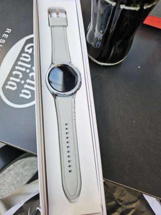 Apple Watch Series 6 Classic Plata