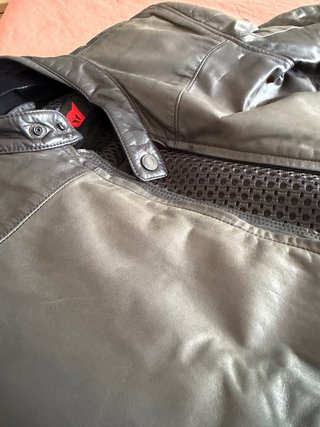 Chaqueta de piel Dainese Mike