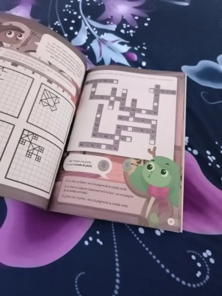 Libro actividades Enigmath. 6 primaria