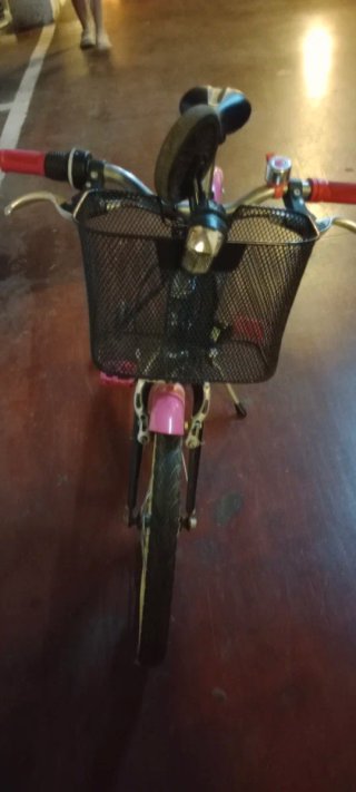 Bicicleta infantil niña