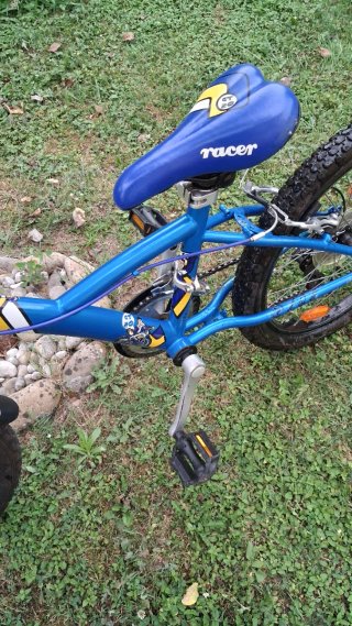 Bicicleta Infantil 20 Azul