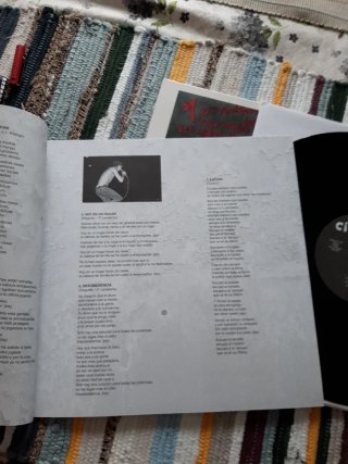 Vinilo Cicatriz - Rarotados Punk Rock