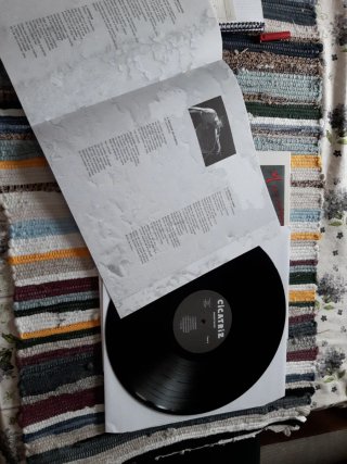 Vinilo Cicatriz - Rarotados Punk Rock