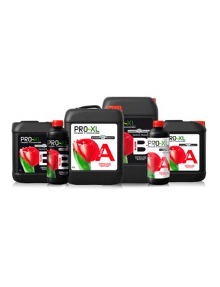 Pro XL Bloom A+B Fertilizante Cultivo