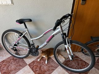 Bicicleta Montaña Mujer 26” Plata/Rosa