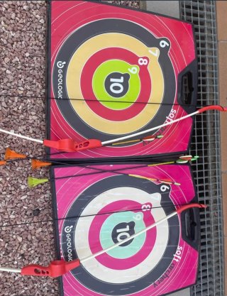 2 Dianas, 2 Arcos y 4 Flechas Tiro al Arco