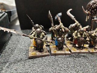 Warhammer Fantasy Ogros Tripas Duras