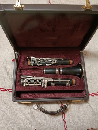 Clarinete profesional Buffet R13