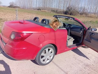 Renault Megane 2006