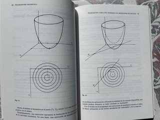 Programación matemática