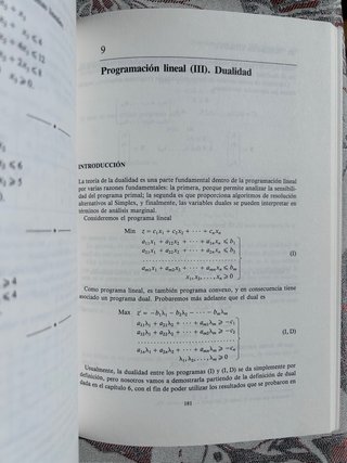 Programación matemática
