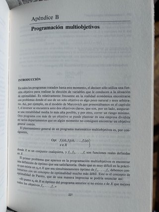 Programación matemática