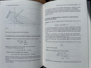 Programación matemática