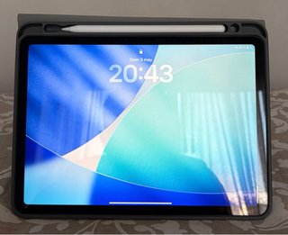 Apple iPad Gris