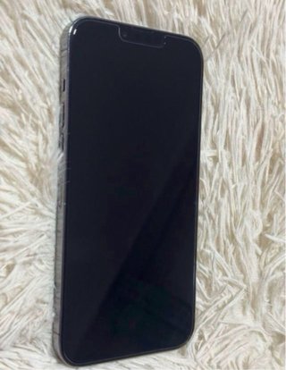 iPhone 13 Pro Max Grigio