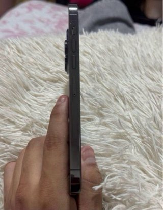 iPhone 13 Pro Max Grigio