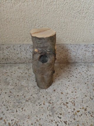 Tronco de olivo seco