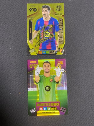 Cromos Panini Adrenalyn XL