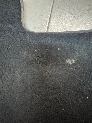 Alfombrillas SEAT Leon MK3 ST