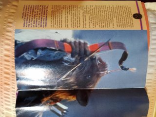 Revistas oficiales películas Tortugas ninja 1 y 2