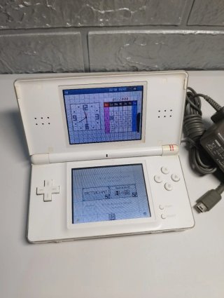 Nintendo DS Lite Blanca leer bien