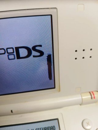 Nintendo DS Lite Blanca leer bien