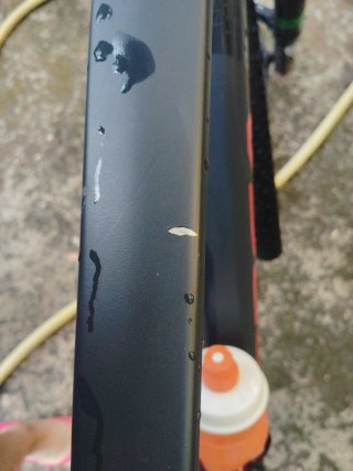 Bicicleta Orbea Alma