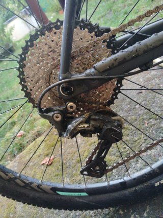 Bicicleta Orbea Alma