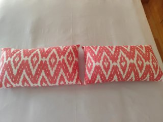 2 Cojines Decorativos