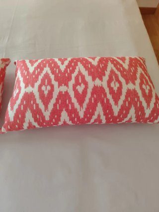 2 Cojines Decorativos