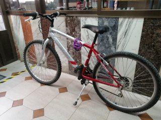 Bicicleta Togano
