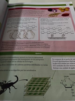 Biología, 2 Bachillerato, Proyecto Construyendo...