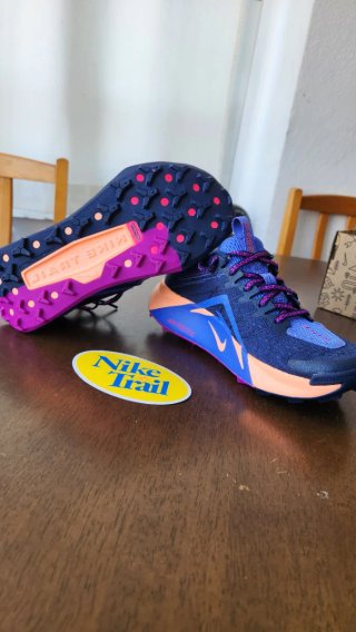 Nike ReactX Wildhorse 10 Zapatillas Trail Running