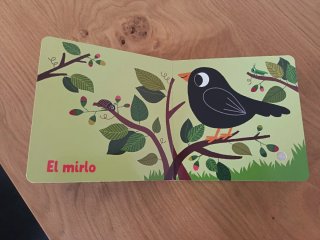 Lote Juguetes Bebé 12-24 Meses
