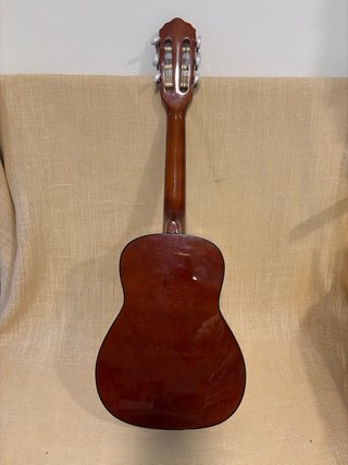 Guitarra Rocio C-6N