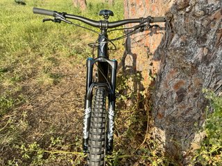 Specialized Turbo Levo Comp