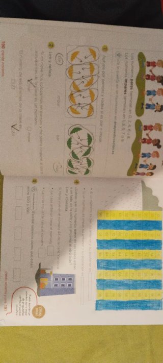 Lote libros de primaria Anaya